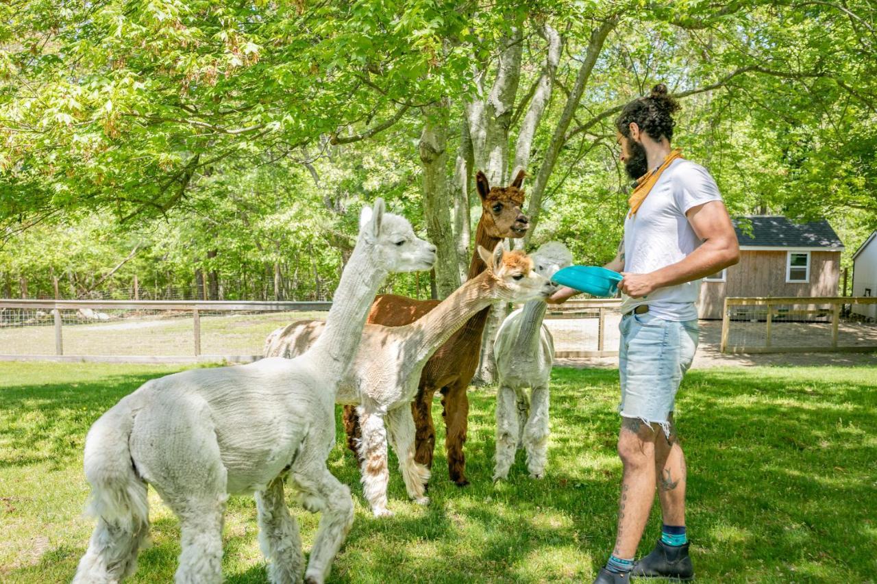 Lambert'S Cove Inn & Resort West Tisbury Dış mekan fotoğraf